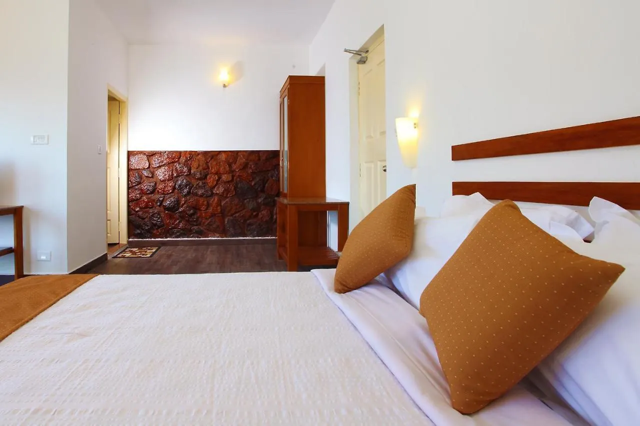 The Wind Munnar Hotel Chinnakanal India